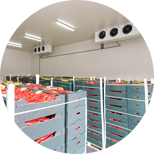 Cold Rooms/ Cold warehouse.